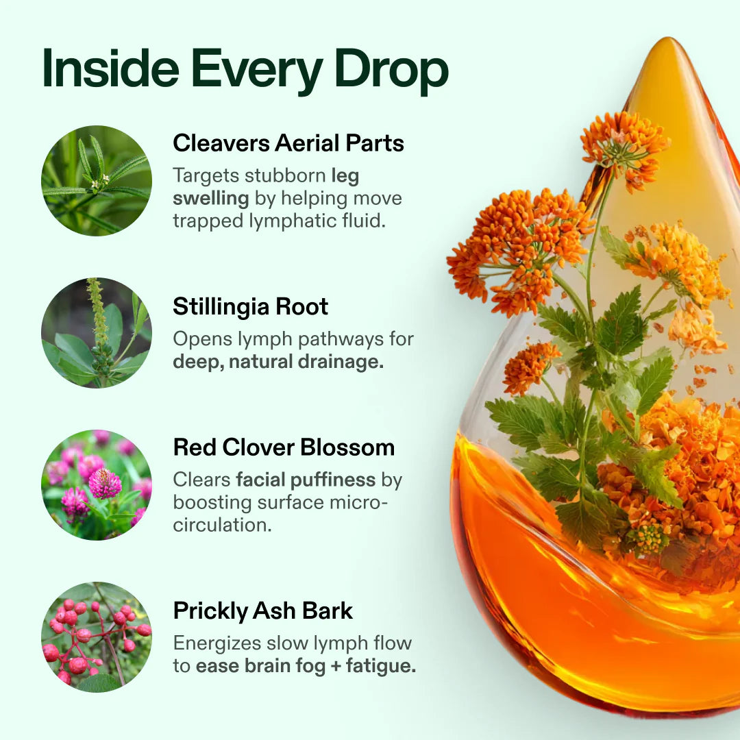 Bloombel™-Lymphatic drainage drops