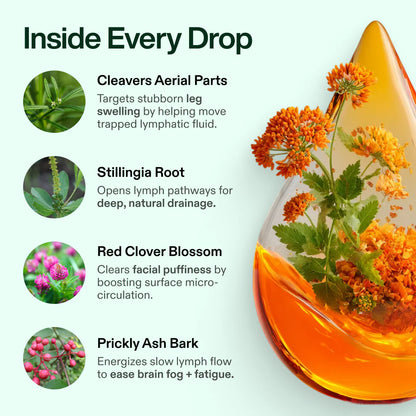 Bloombel™-Lymphatic drainage drops